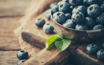Ferme Bédard Blouin