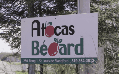 Atocas Bedard / Canbec