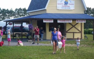 Bleuetière Point du Jour