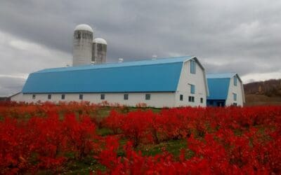 Ferme G. Pomerleau inc.