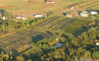 Petits fruits Vallée de Soleil