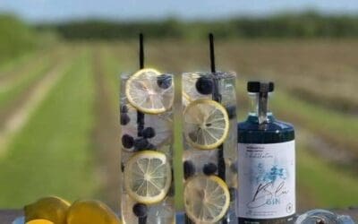 La Vallée bleue Distillerie