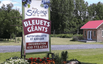 Aux saveurs de la terre