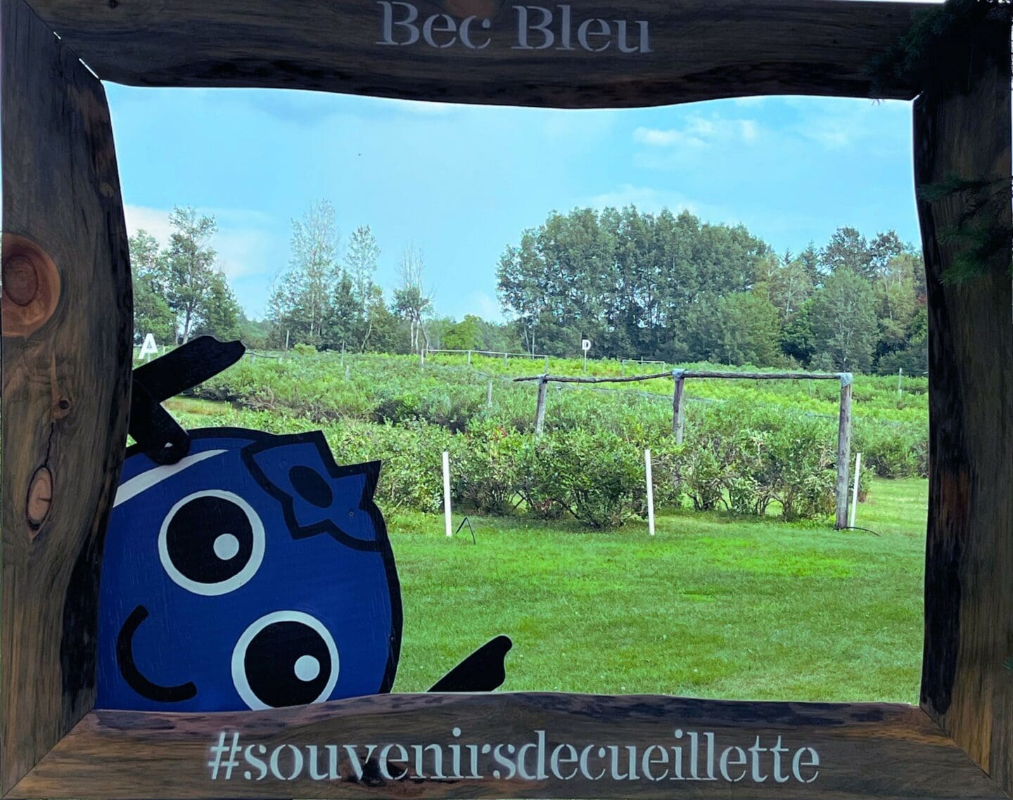 LEs Roy de la pomme<br />
